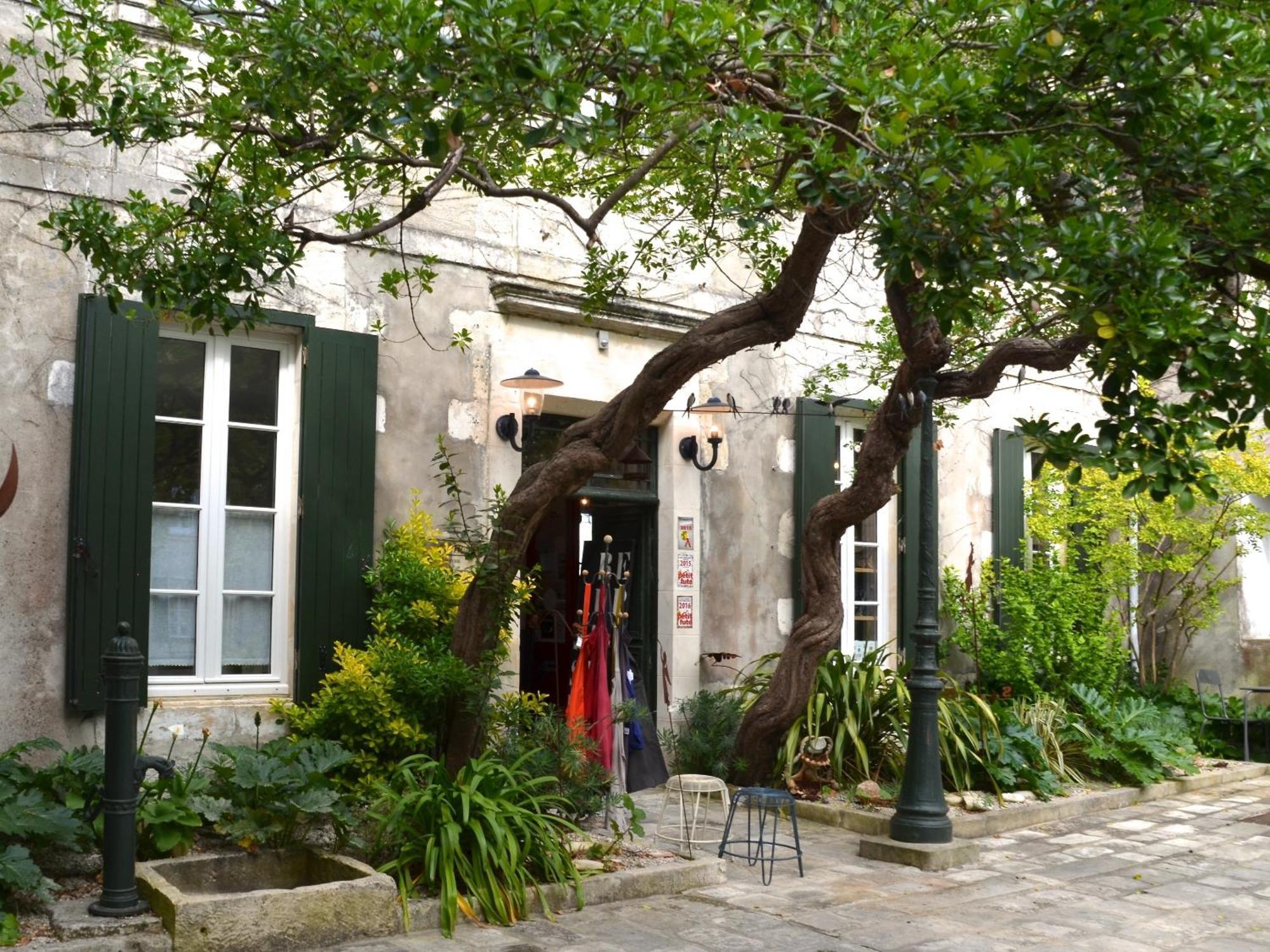 Le Mole Bed & Breakfast La Flotte Luaran gambar